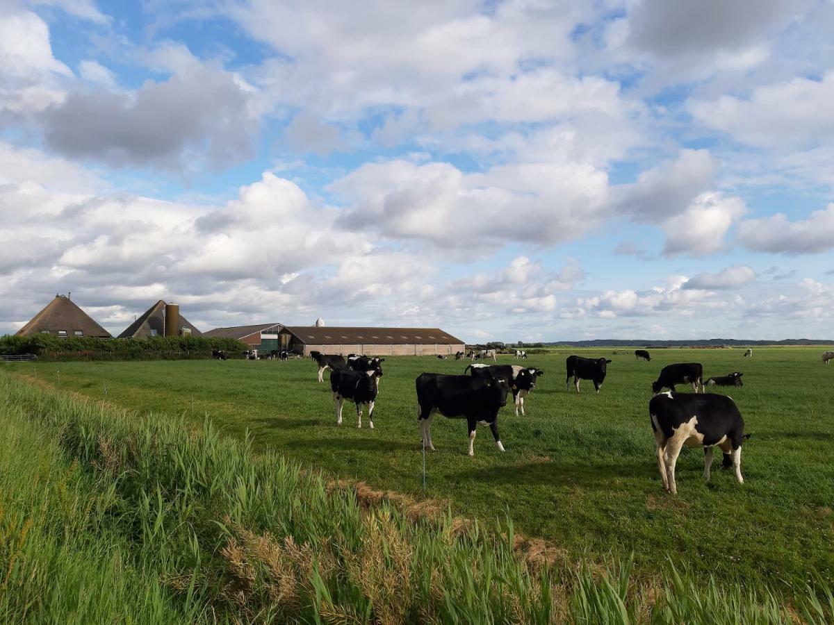 Iefjeshoeve Farm stay