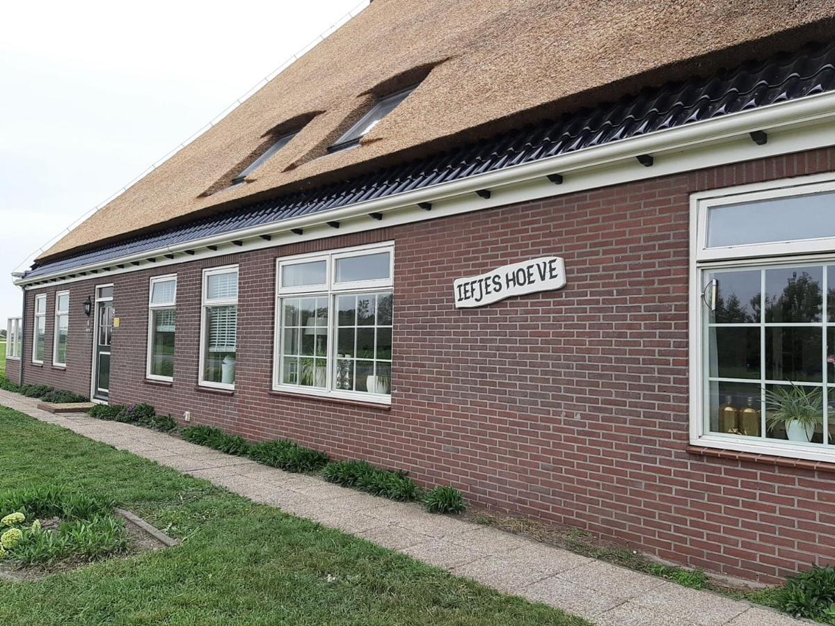 Farm stay Iefjeshoeve Petten